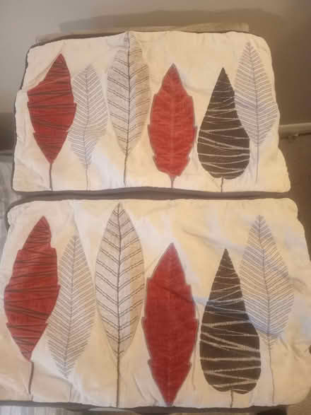 Photo of free Autumnal cushion covers.Rectangular shape. 30 cm x 45 cm. (Kennington OX1) #1