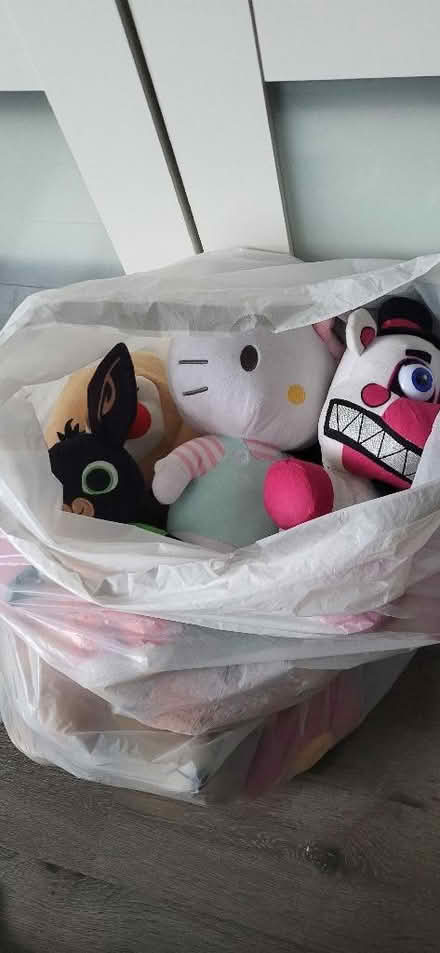 Photo of free Eyelet curtains gold/cream / bag teddies (Huyton Quarry L36) #2