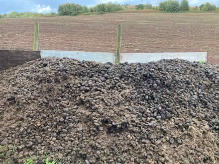 Photo of free Organic horse manure (Llandrindod LD1) #3