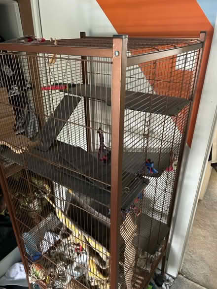 Photo of free Large cage for rats (Boxmoor, HP1) #2