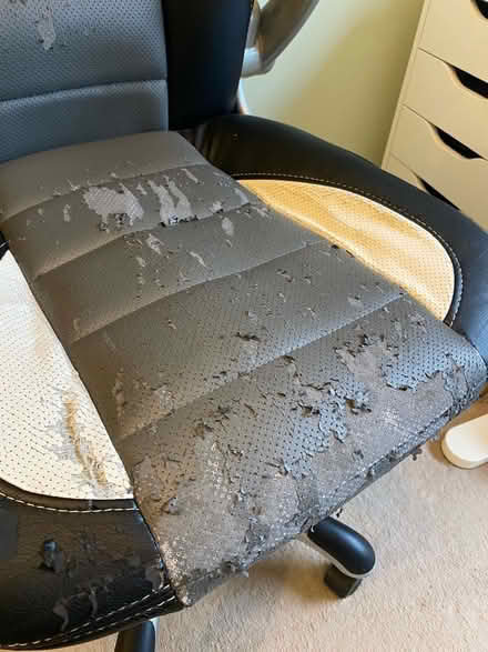 Photo of free Desk Chair (CT13) #2