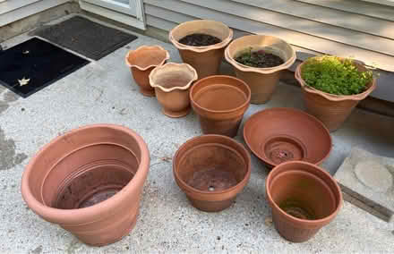Photo of free Terracotta Flower Pots (Semple Farm Rd + Bellgrade Dr) #3