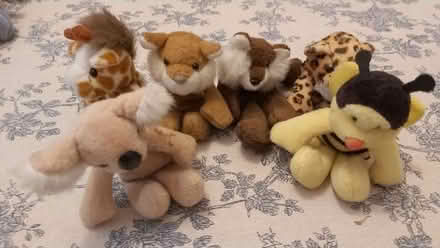 Photo of free Toys (Cam GL11) #2