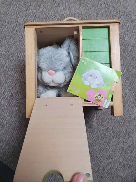 Photo of free Bunny in hutch (BS16) #1