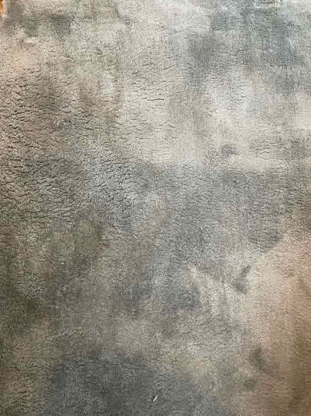 Photo of free Large carpet (Horsforth LS18) #1