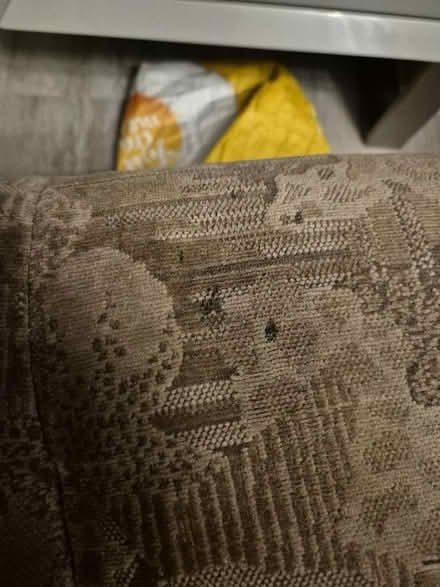 Photo of free Pouffe (Caversham Heights RG4) #2