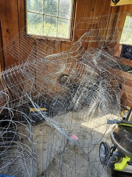 Photo of free Wire plant protectors (Granby, MA) #1