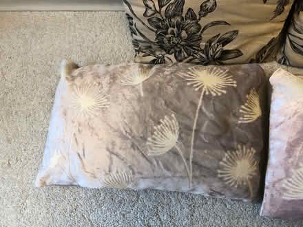 Photo of free Cushions and a throw (Headley KT18 6) #2