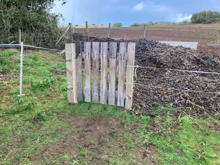 Photo of free Organic horse manure (Llandrindod LD1) #2