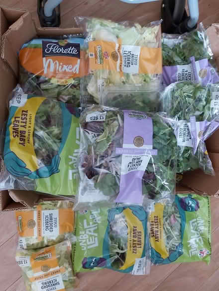 Photo of free Salad for RABBITS 🐇 (IP2) #1
