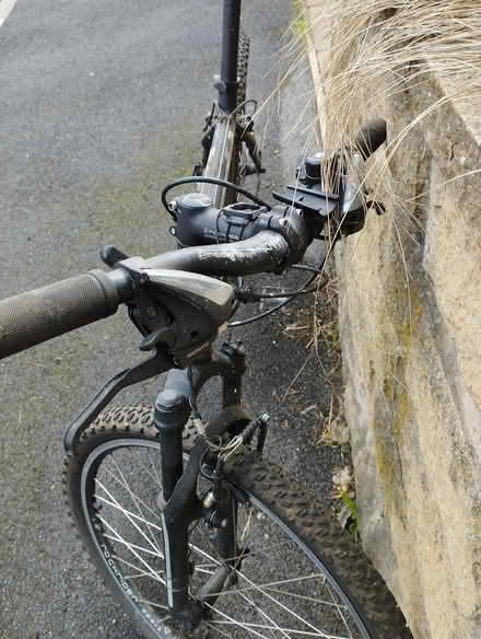 Photo of free Adult bicycle (Walkley S6) #2