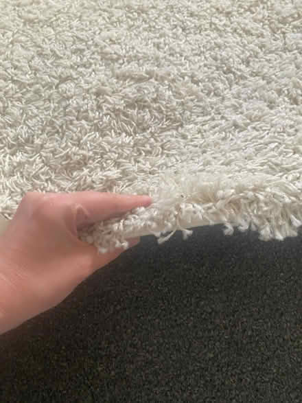 Photo of free Shaggy Rug (Leeds LS10) #3