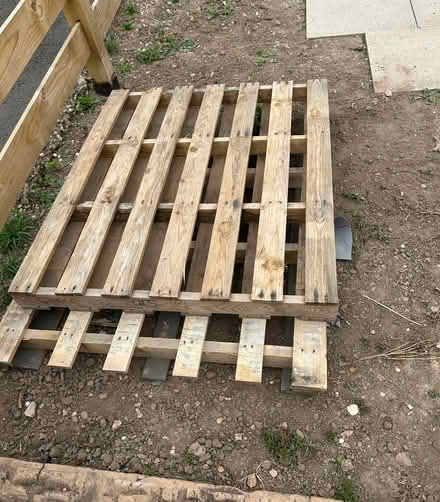 Photo of free Wooden pallets (Marston Jabbett CV11) #1