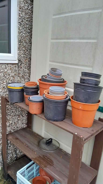 Photo of free Selection of plastic plant pots (Bare LA4) #1