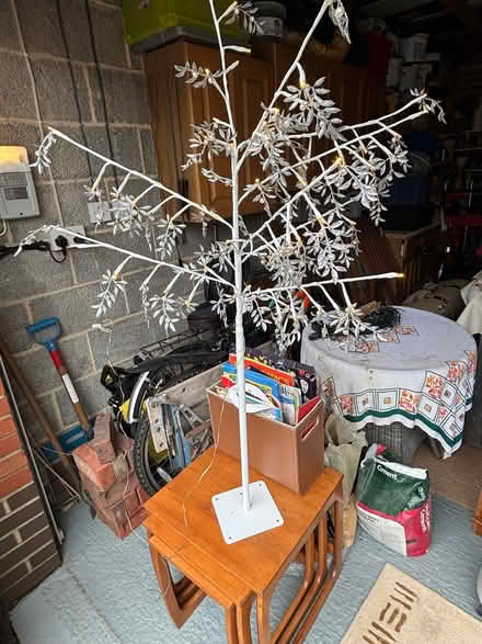 Photo of free Tree with built in lights (Milton PO4) #1