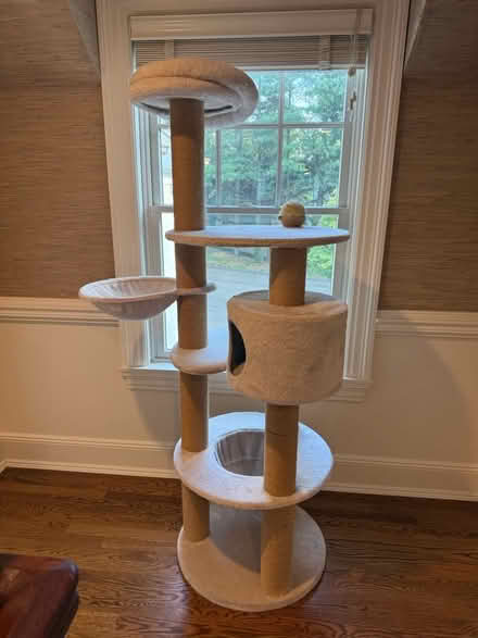 Photo of free Tall cat tree (New Canaan) #1