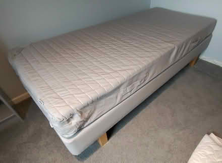 Photo of free Single divan bed & mattress (Sherfield on Loddon, RG27 0) #1