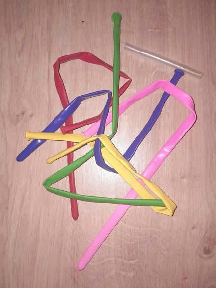 Photo of free long thin balloons (Blackford Hill EH9) #1