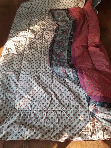 Photo of free Twin sheets and comforters (Lakeville) #1