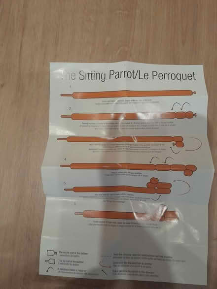 Photo of free long thin balloons (Blackford Hill EH9) #2