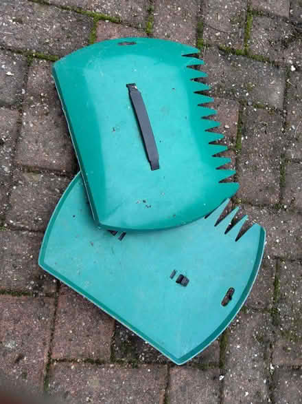 Photo of free Leaf collectors (Neilston) #1