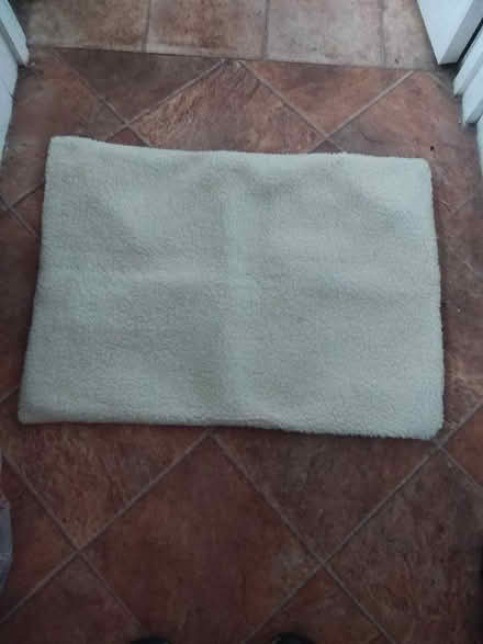 Photo of free Self heating pet mat (Fords Farm RG31) #2
