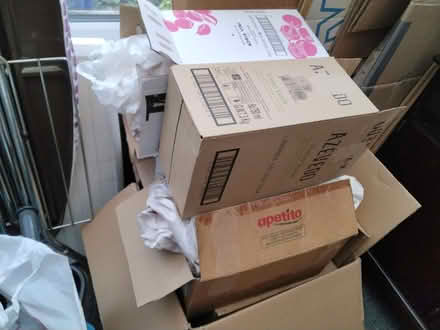 Photo of free Cardboard boxes and packing paper (Milton PO4) #3