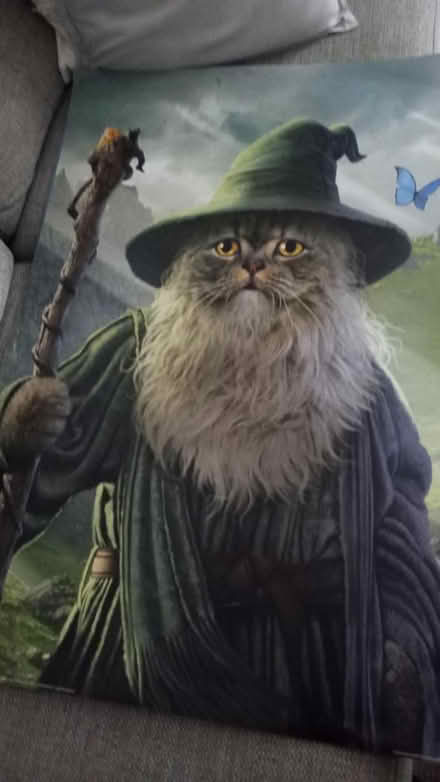 Photo of free Large poster (Weybridge KT13) #1