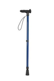 Photo of A folding walking stick (Shipley BD18) #1