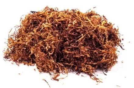 Photo of Leafs (E3 2fg approx) #1