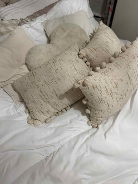 Photo of free Cushion (Rathfarnham) #1