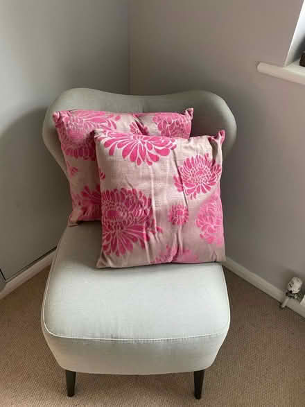Photo of free 2 pink scatter cushions (North Ascot SL5) #1