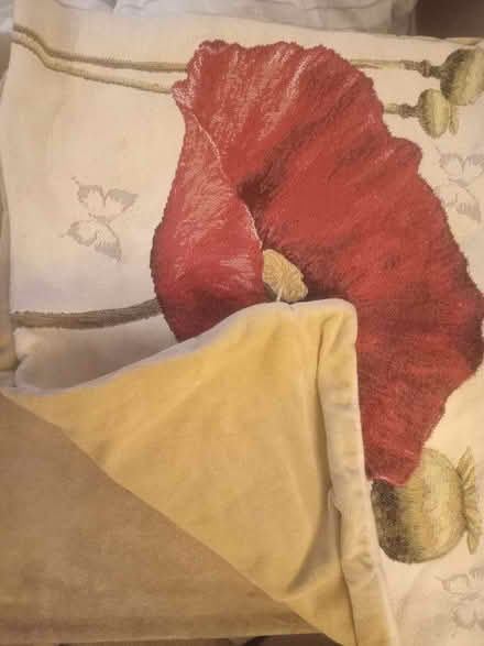 Photo of free Cushion cover. Poppy design with fawn velvet on other side. (Kennington OX1) #2