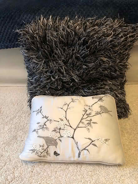 Photo of free Cushions and a throw (Headley KT18 6) #1