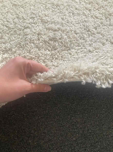 Photo of free Shaggy Rug (Leeds LS10) #4
