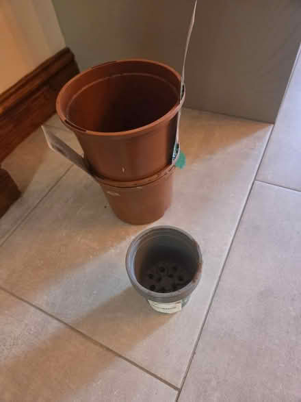 Photo of free Few plant pots (Lightwood ST3) #1
