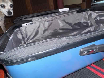 Photo of free Medium Samsonite suitcase (Michigan Park) #4