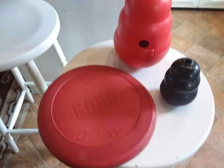 Photo of free Kong things for dogs (Fords Farm RG31) #1