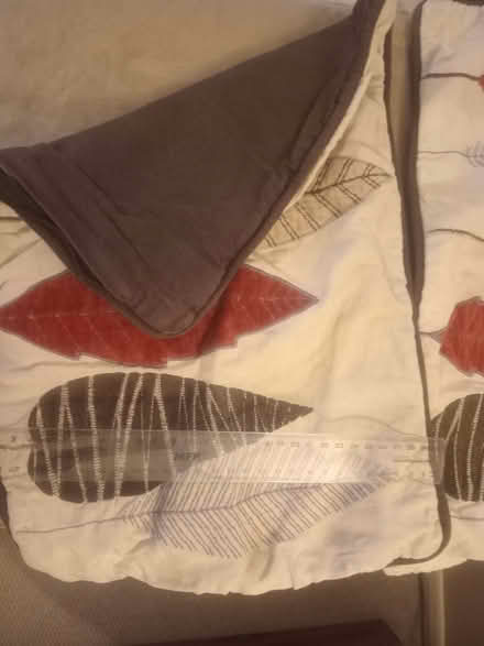 Photo of free Autumnal cushion covers.Rectangular shape. 30 cm x 45 cm. (Kennington OX1) #2