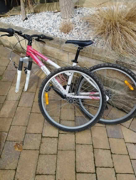 Photo of free Womens bike rockrider (Walkley S6) #1