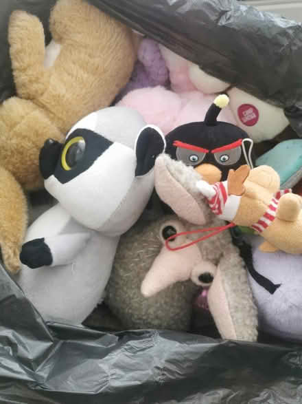 Photo of free Bag full of soft toys (EN1) #1