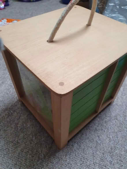 Photo of free Bunny in hutch (BS16) #4