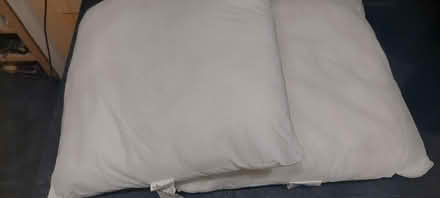 Photo of free Cushion Inserts (Strood (ME2)) #1