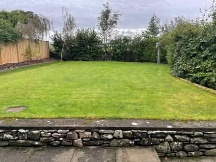 Photo of free Garden netting (Old Hutton LA8) #4