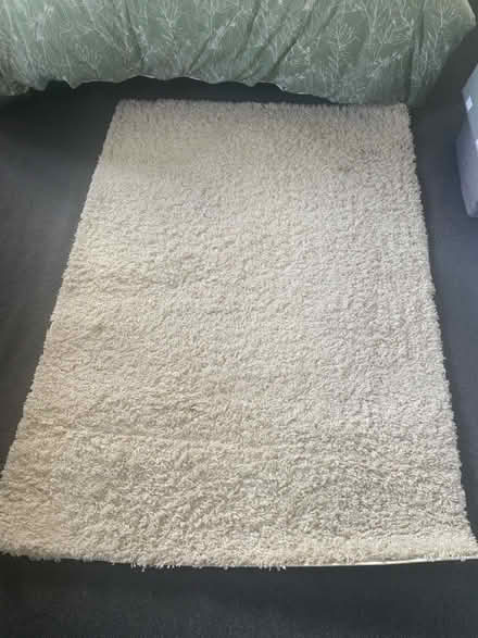Photo of free Shaggy Rug (Leeds LS10) #1