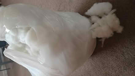 Photo of free Bag of cushion/toy stuffing (CH5) #1