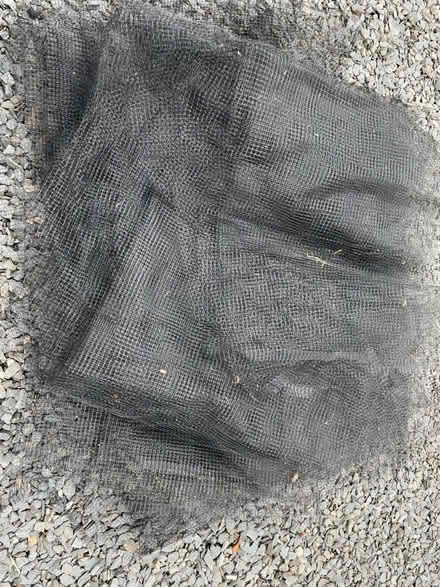Photo of free Garden netting (Old Hutton LA8) #2