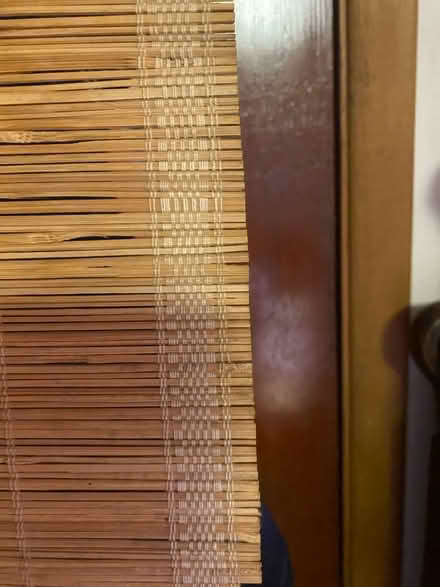 Photo of free Bamboo painting (Fremont) #3