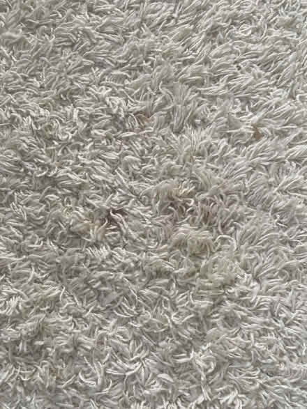 Photo of free Shaggy Rug (Leeds LS10) #2