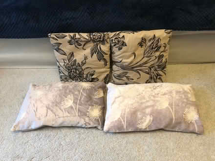 Photo of free Cushions and a throw (Headley KT18 6) #3